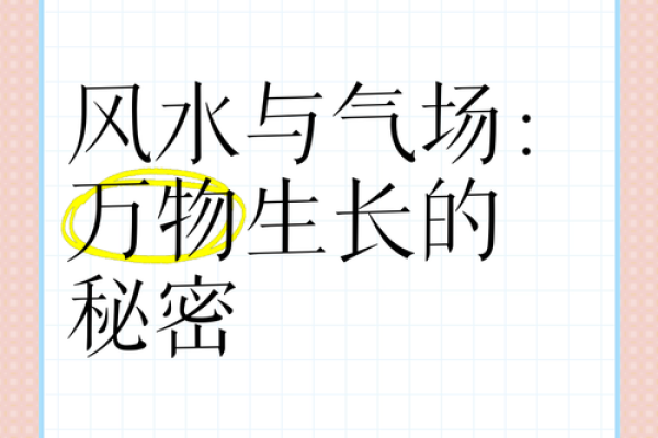 家居风水知识大揭秘，让家更有“气场”