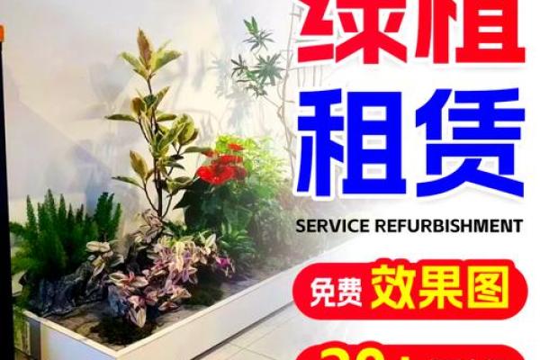 如何通过植物改善办公室风水与工作环境