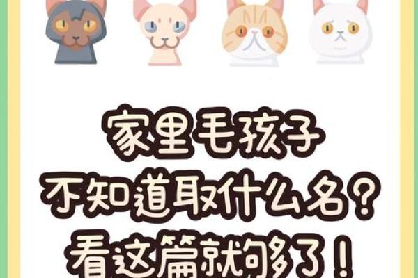 父母必看：如何利用名字打分提升孩子名字的独特性