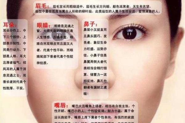 细说脸部痣相与健康、财富、爱情的关系