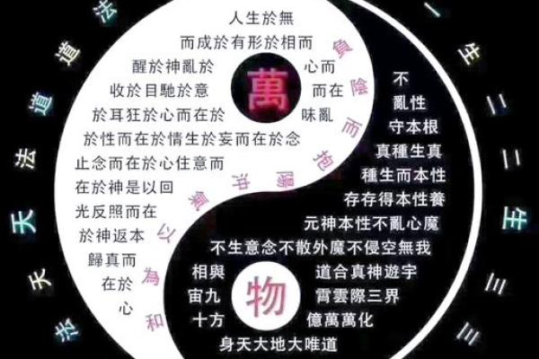 家居风水必知的五大原则，优化家中气场