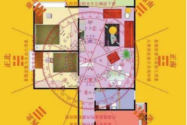 招财风水亩布局禁忌与成功秘诀揭秘