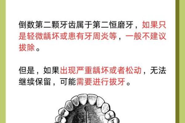 从心理学角度解读梦到掉牙齿的象征意义