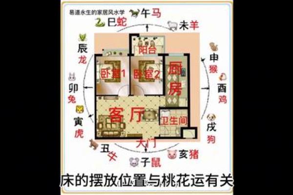 家居风水桃花运：如何通过布置招财引人缘