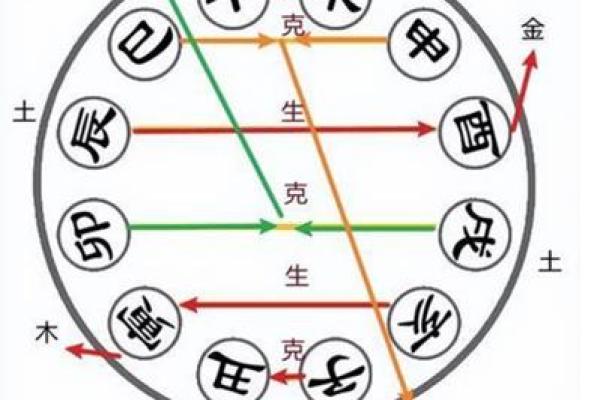 五行与地支的深度解析：探索命理中的相生相克关系