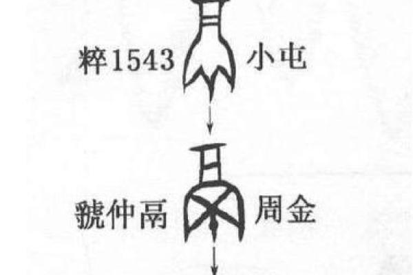 天干的起源与历史演变解析