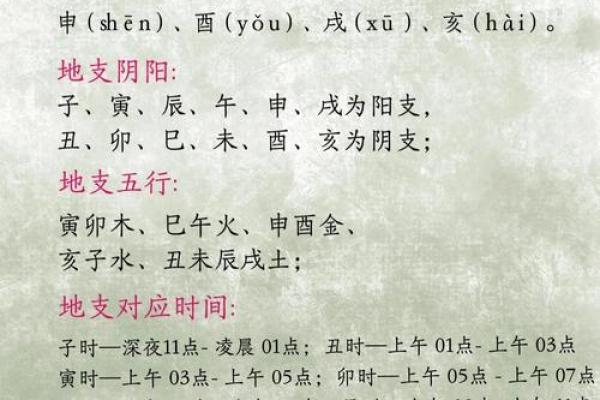天干与十二地支的相互作用与命理解码