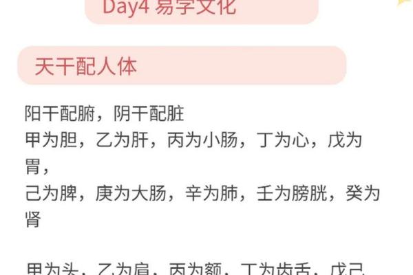 天干地支时辰在现代生活中的实用性探讨
