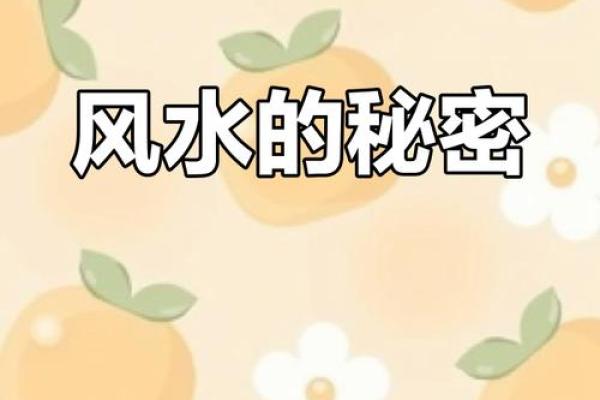 家居风水与生育运势，提升求子机会的策略