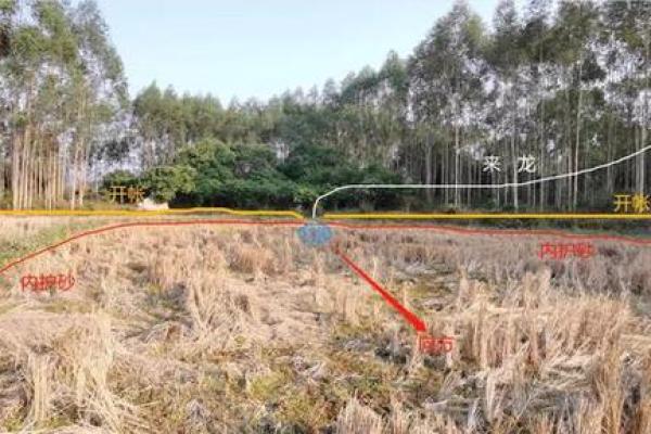家居风水的基本原则与实用技巧