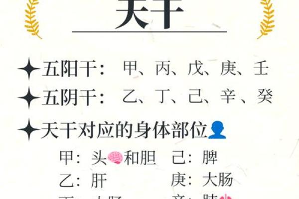 天干相生相克的奥秘解析与实际应用