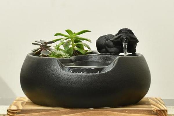 如何通过风水招财球增强财运与事业运