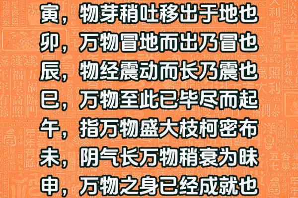 探讨地支本气对命理影响的重要性