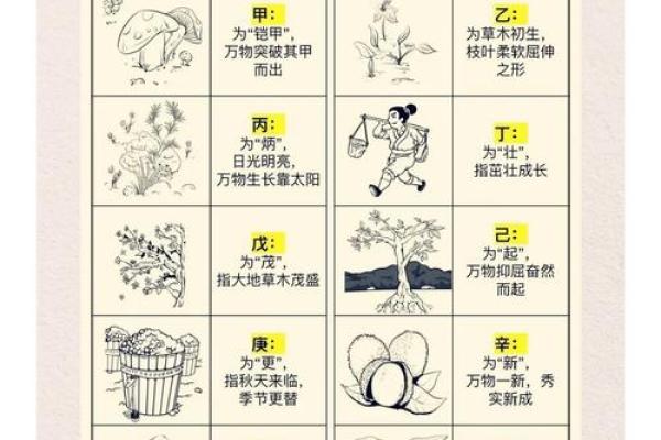 天干地支的基本区别与应用解析