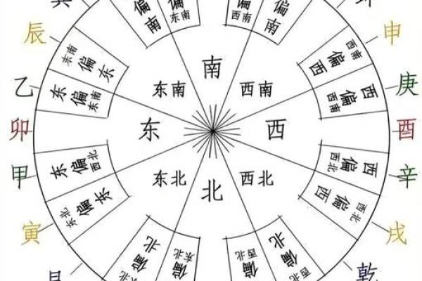 天干地支的基本区别与应用解析