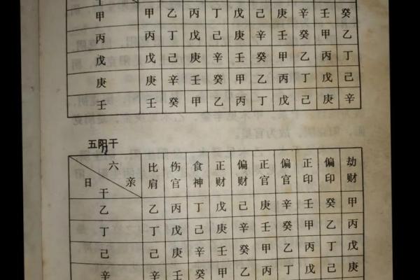 天干与地支的区别及其在命理中的应用