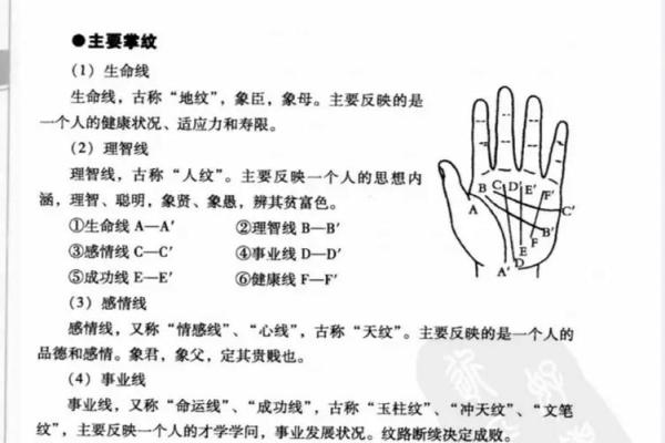 天干手掌图的秘密：如何通过手相解读命运走势
