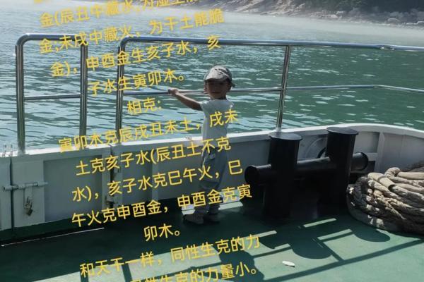 午火在地支中的象征意义与性格特征分析