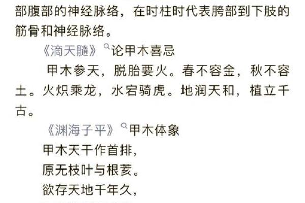 天干甲木的象征意义与五行属性解析