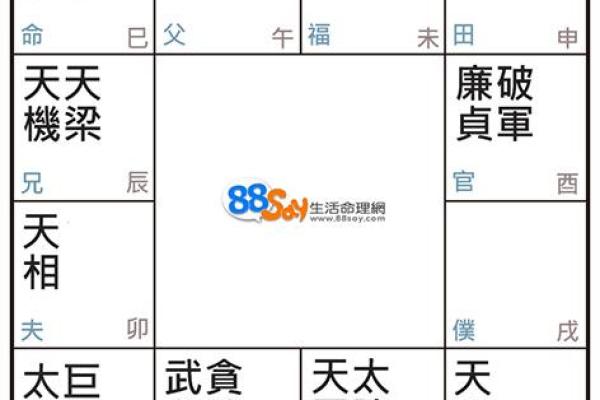 如何通过出家命理解析个人命运轨迹