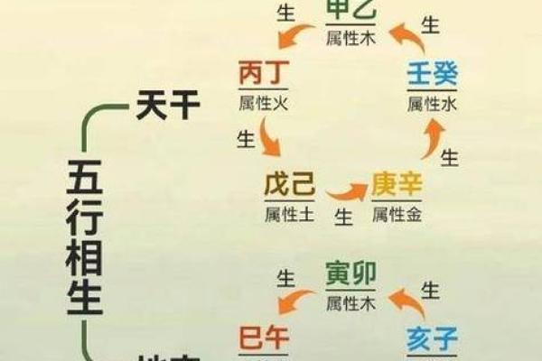 天干克地支的相生相克规律及其实践意义