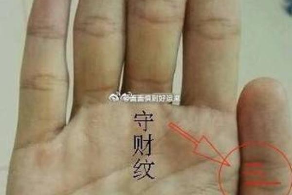 天干手掌图与命理学：手相如何影响人生轨迹