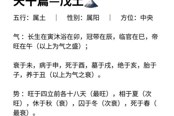 辛天干的五行属性与性格解析