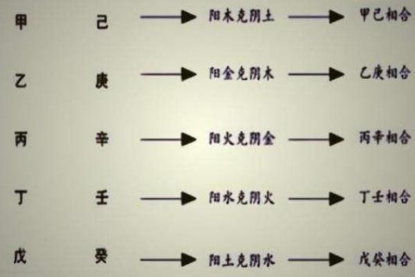 天干乙的五行属性与命理分析