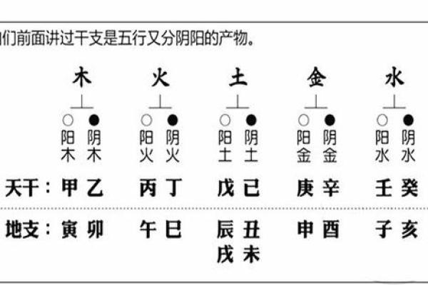 天干乙的五行属性与命理分析