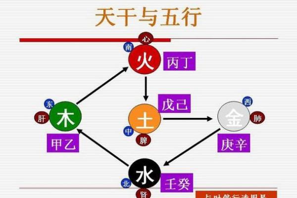 天干地支与阴阳五行的深层联系解析