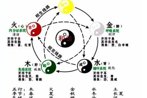 天干地支与阴阳五行的深层联系解析