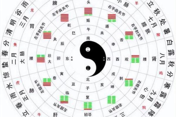 天干地支的起源与演变：揭开中国古代历法的神秘面纱