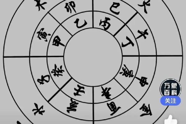 天干的起源与意义解析：探索中国传统文化中的神秘符号