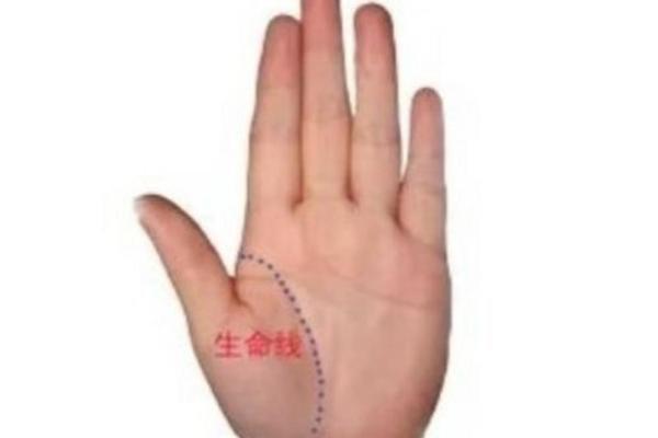 震撼揭秘：手相大拇指的惊人秘密！