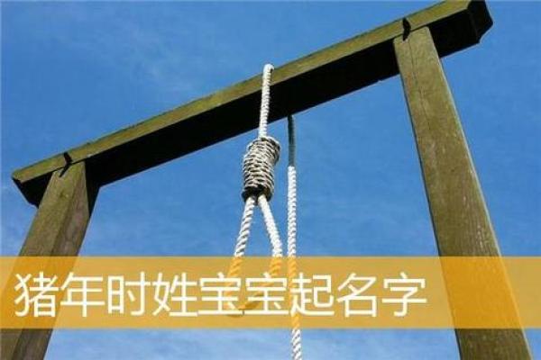 寓意吉祥的狗年姓氏宝宝名