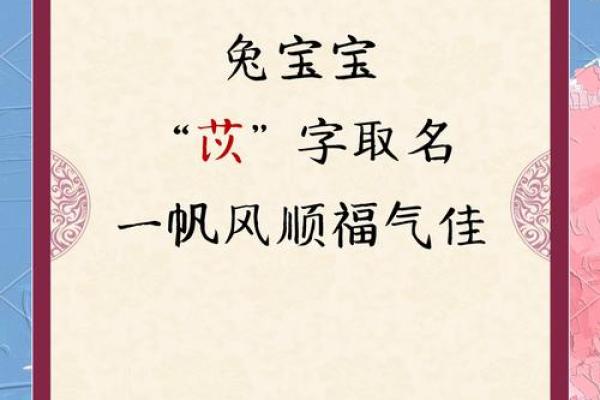 钱宝宝取名宝典，创意无限灵感无限