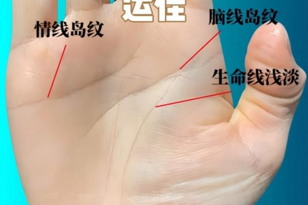 解锁命运密码：手相揭秘你的财运与运势！