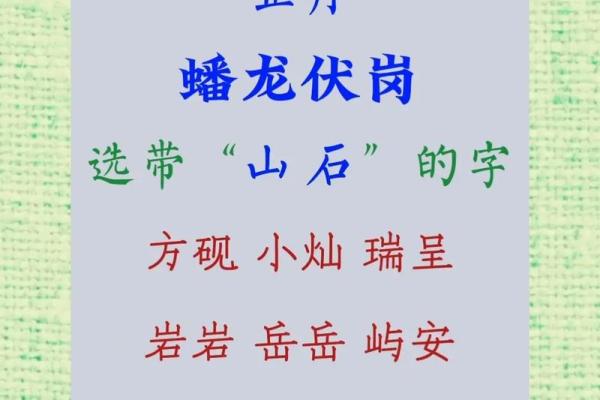 贾家2018萌宝取名大揭秘