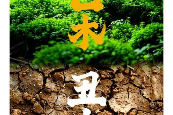 未丑相遇，健康长寿的神奇力量