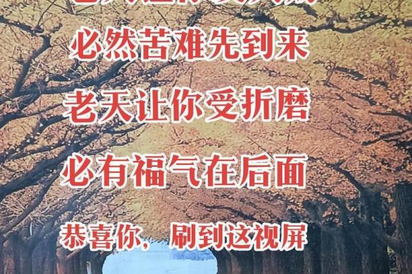 入门风水大揭秘，让你的家财运亨通！