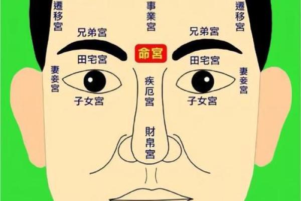 龙眼识人：非凡面相揭秘神秘命运轨迹