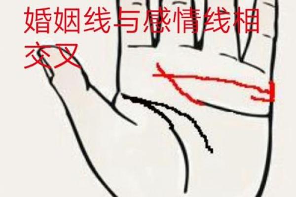 临终手相揭秘：命运最后一刻的真相！