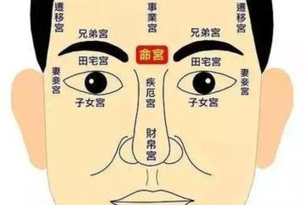 面相揭秘：鼻梁凹陷男人的命运密码