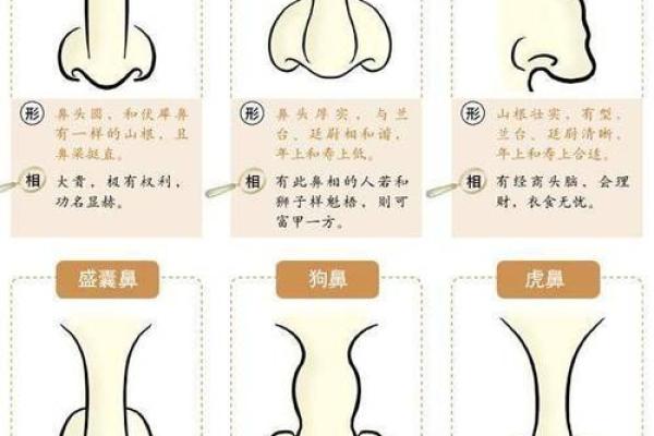 面相揭秘：鼻梁凹陷男人的命运密码