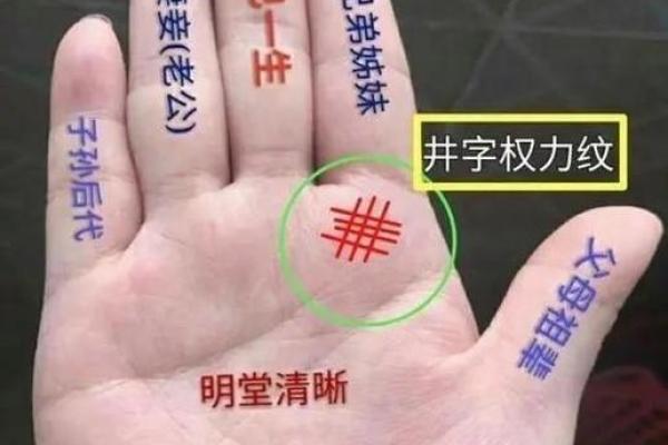 王红教你识人术：手相视频，让你一眼看透人心！