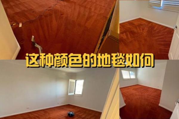 颜色魔法地毯，家居风水改造秘法大公开