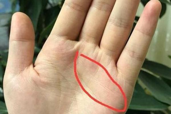 手相斗：揭秘掌中命运的秘密武器