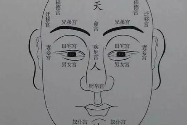 神秘面相手相痣相学，教你识人辨人，洞察人心