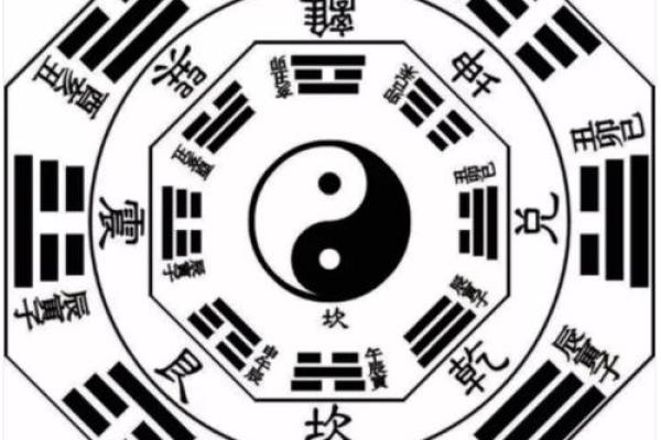 藏风聚气，家居风水布局秘籍大公开！