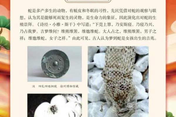 探秘蛇文化：古代民间信仰与现代传承